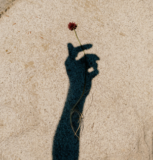 Hand with flower shadow